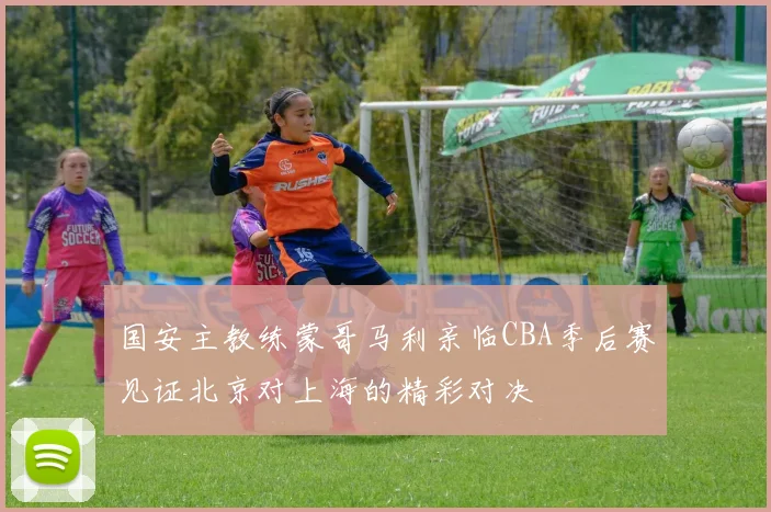 国安主教练蒙哥马利亲临CBA季后赛见证北京对上海的精彩对决